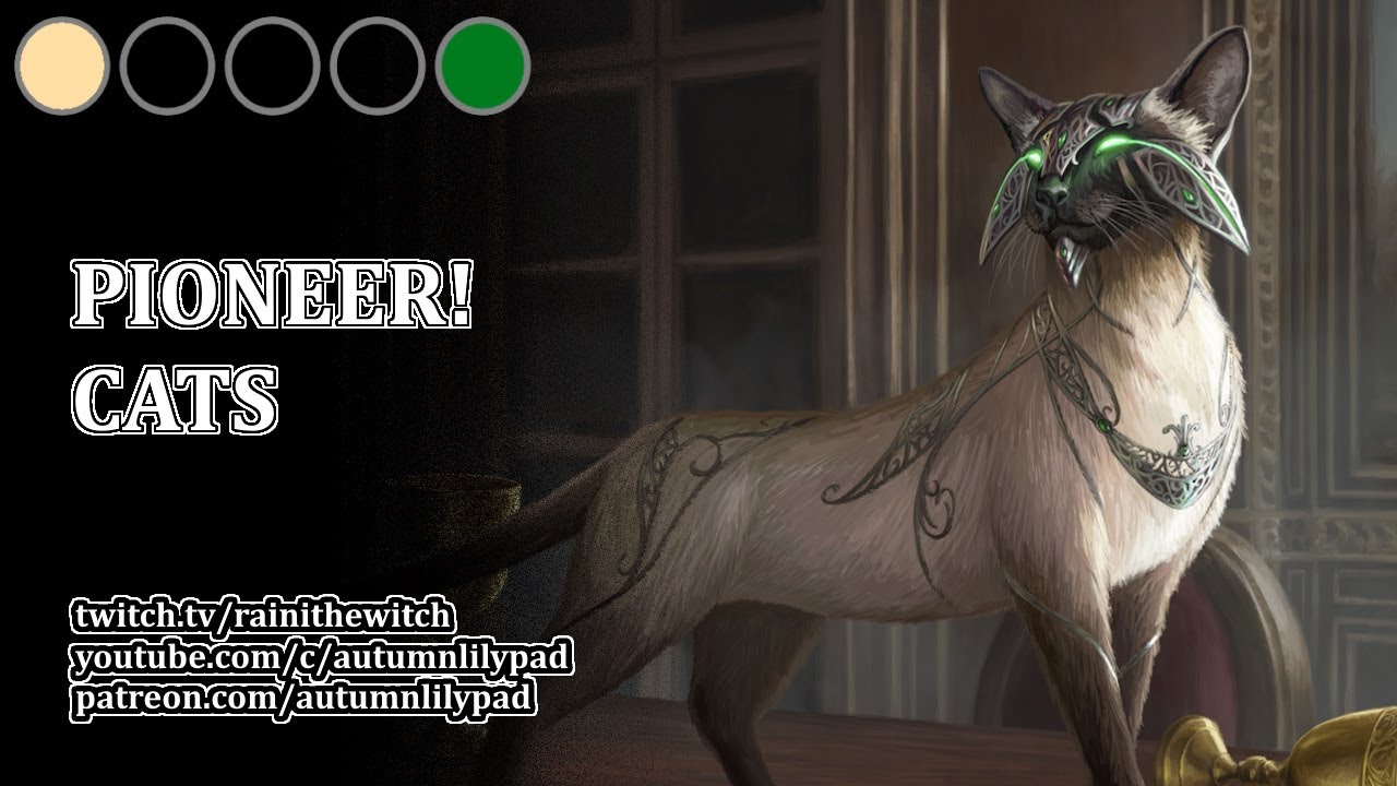 Cat Collected Company | Pioneer