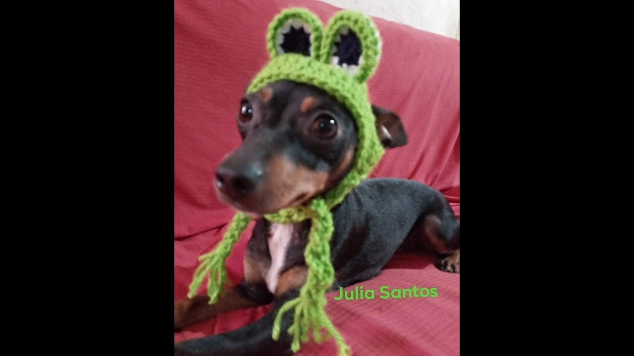 Touca pequena Pet dog sapinho