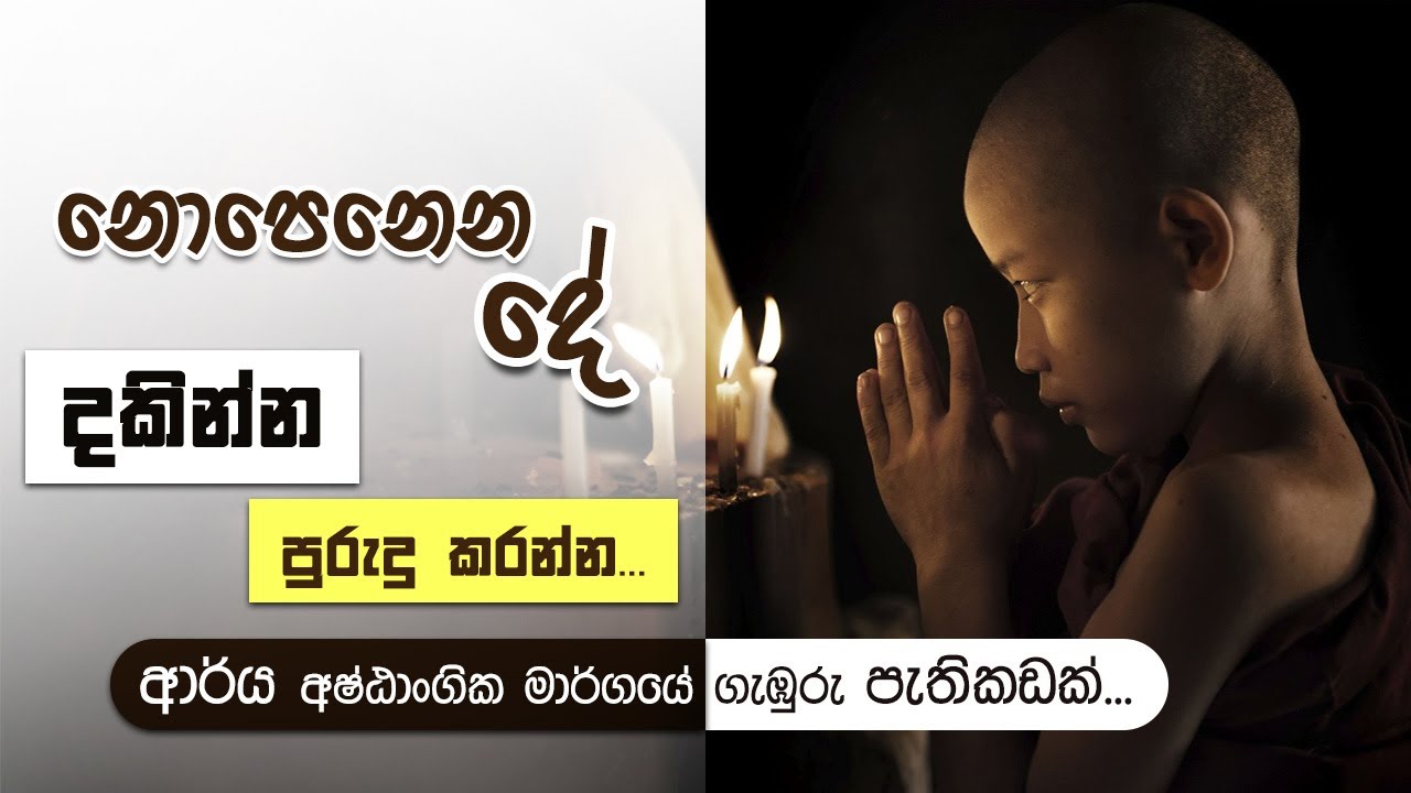 නොපෙනුන දේ දකින්න,නොඇසුන දේ අහන්න... (ආර්ය අෂ්ඨාංගික මාර්ගයේ ගැඹුරු පැතිකඩක්...) | Niwan Dakimu