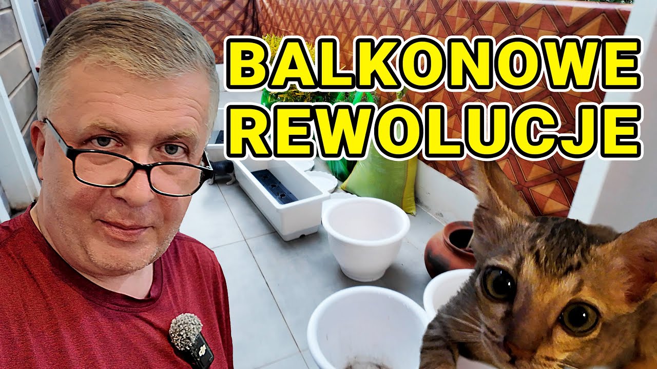 Balkonowe rewolucje i zezowaty kot! 🪴😹 #272 #vlogazja #kambodża #kocięta