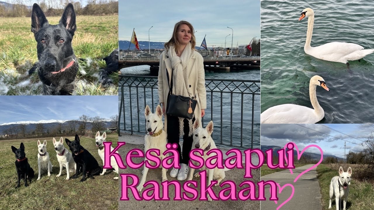 Se on kesä nyt