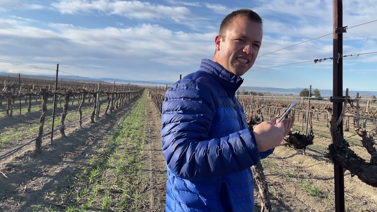 Moving Vineyard Wires