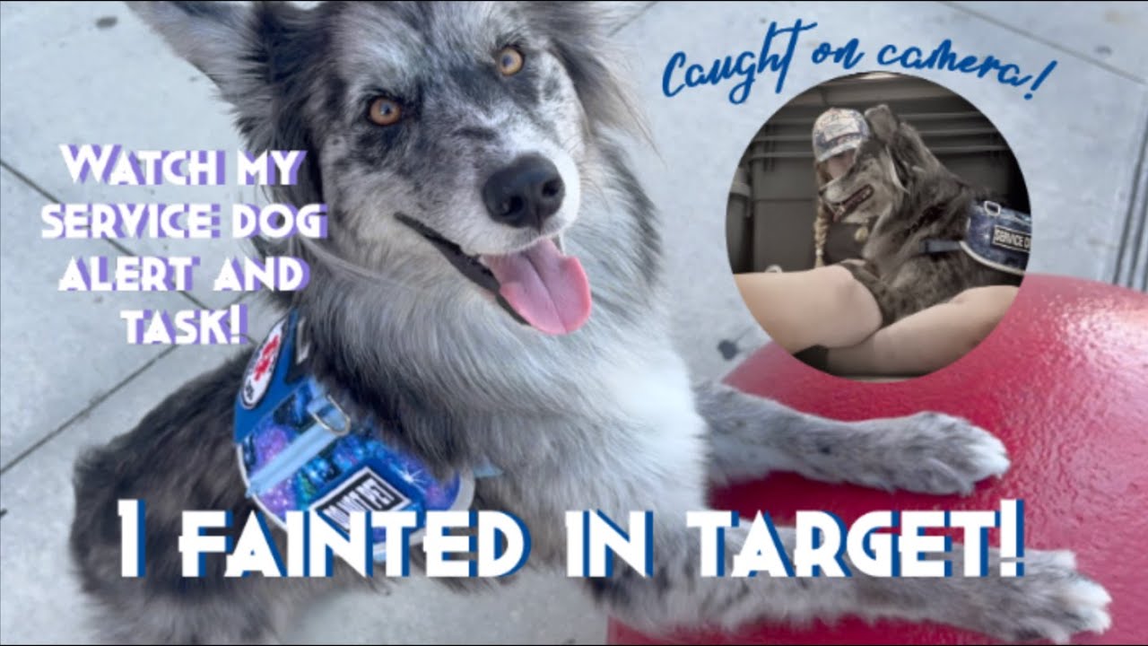 I FAINTED IN TARGET | Service dog vlog
