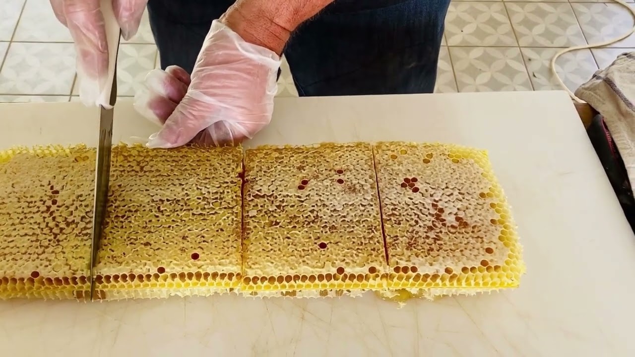 Préparation du miel en rayon