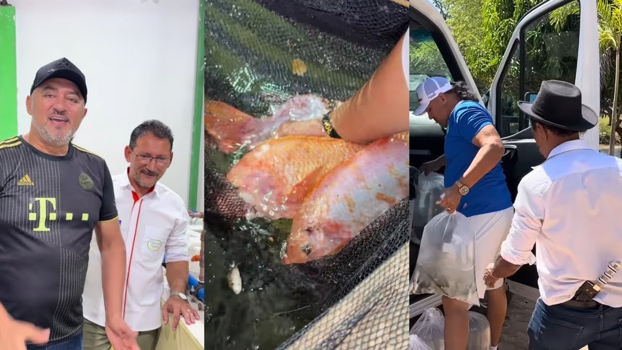CHARLLES GANHA TILÁPIAS SAINT PETER, E COLOCA MAIS PEIXES NO SEU AÇUDE  (comédia selvagem)