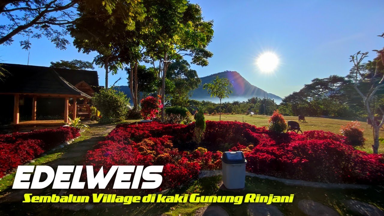 Tempat santai paling keren di kaki Gunung Rinjani | Camping Ground