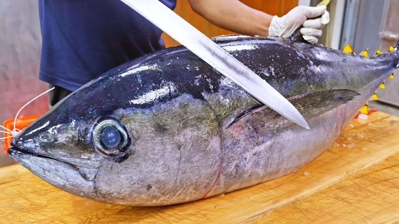 2026 Amazing Fish Catch Collection ! Yellowfin Tuna Cutting,Tiger Shrimp_2026魚捕捉合集,黃鰭鮪魚捕捉,虎蝦大豐收,魚切割技