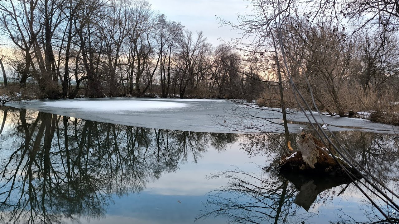 Jazero Rožok, Jelšovce -2.1.2026