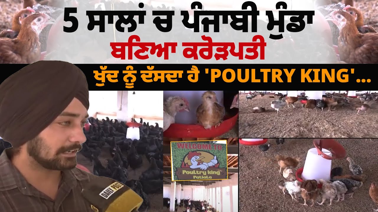 5 ਸਾਲਾਂ ਚ ਪੰਜਾਬੀ ਮੁੰਡਾ ਬਣਿਆ ਕਰੋੜਪਤੀ, ਖੁੱਦ ਨੂੰ ਦੱਸਦਾ ਹੈ 'Poultry King'... | DailyPost TV