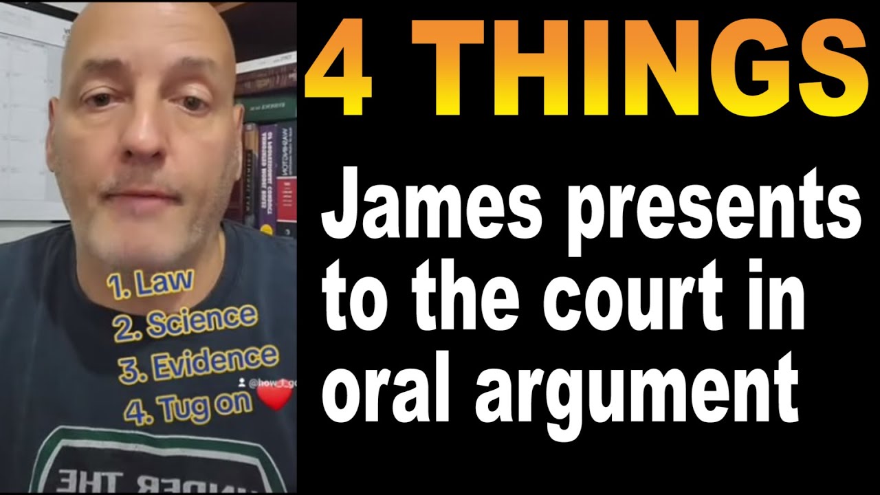 4 CATEGORIES -- WHAT I PRESENT TO THE COURT