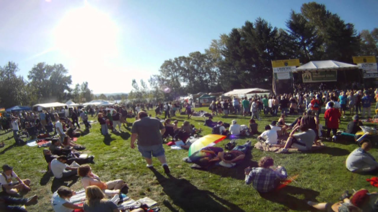 Hempstalk 2013: The Sindicate - Badfish