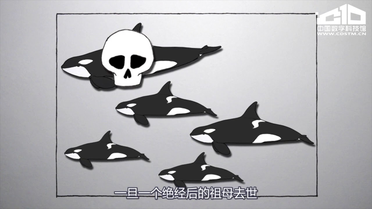 动物也有隔代亲吗  中国数字科技馆