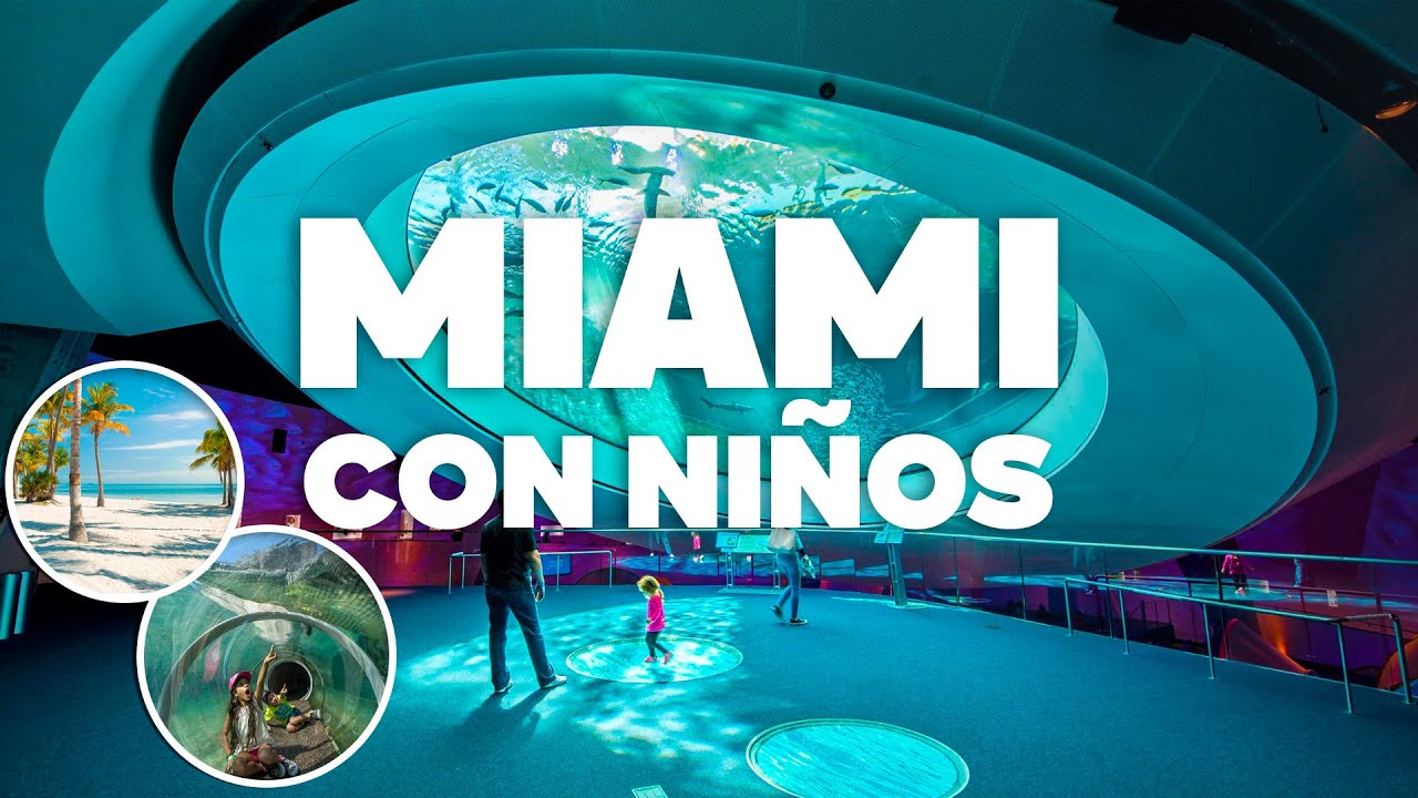 MIAMI CON NIÑOS! Qué Hacer Y Actividades en familia!