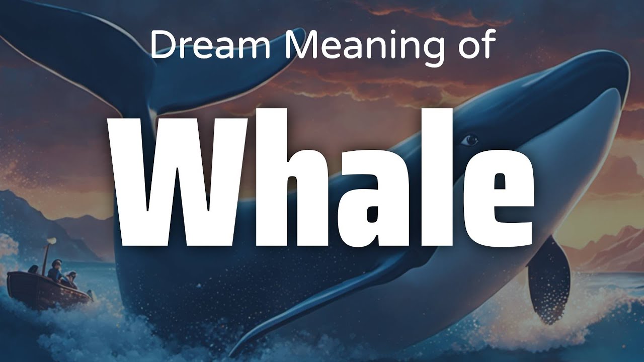 Whale Dream Meaning & Symbolism | Interpretation Psychology