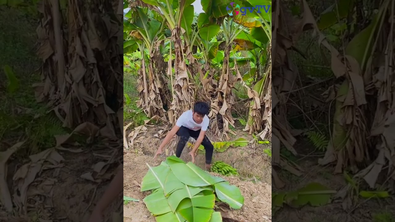 #funnyvideo #GvTv  best funny videos