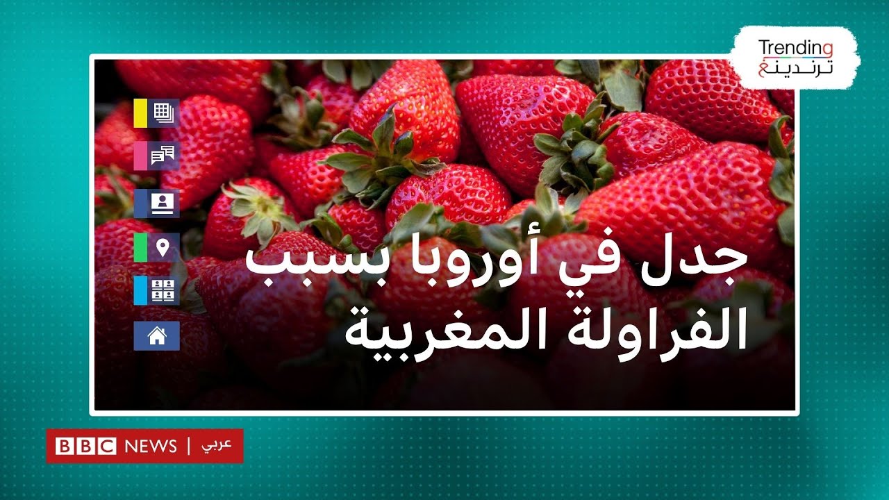 الفراولة المستوردة من المغرب تثير جدلا في أوروبا 🇲🇦