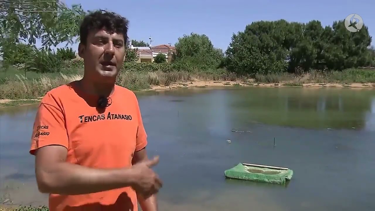 Una piscifactoría en Montijo para la cría de tencas | Territorio Extremadura