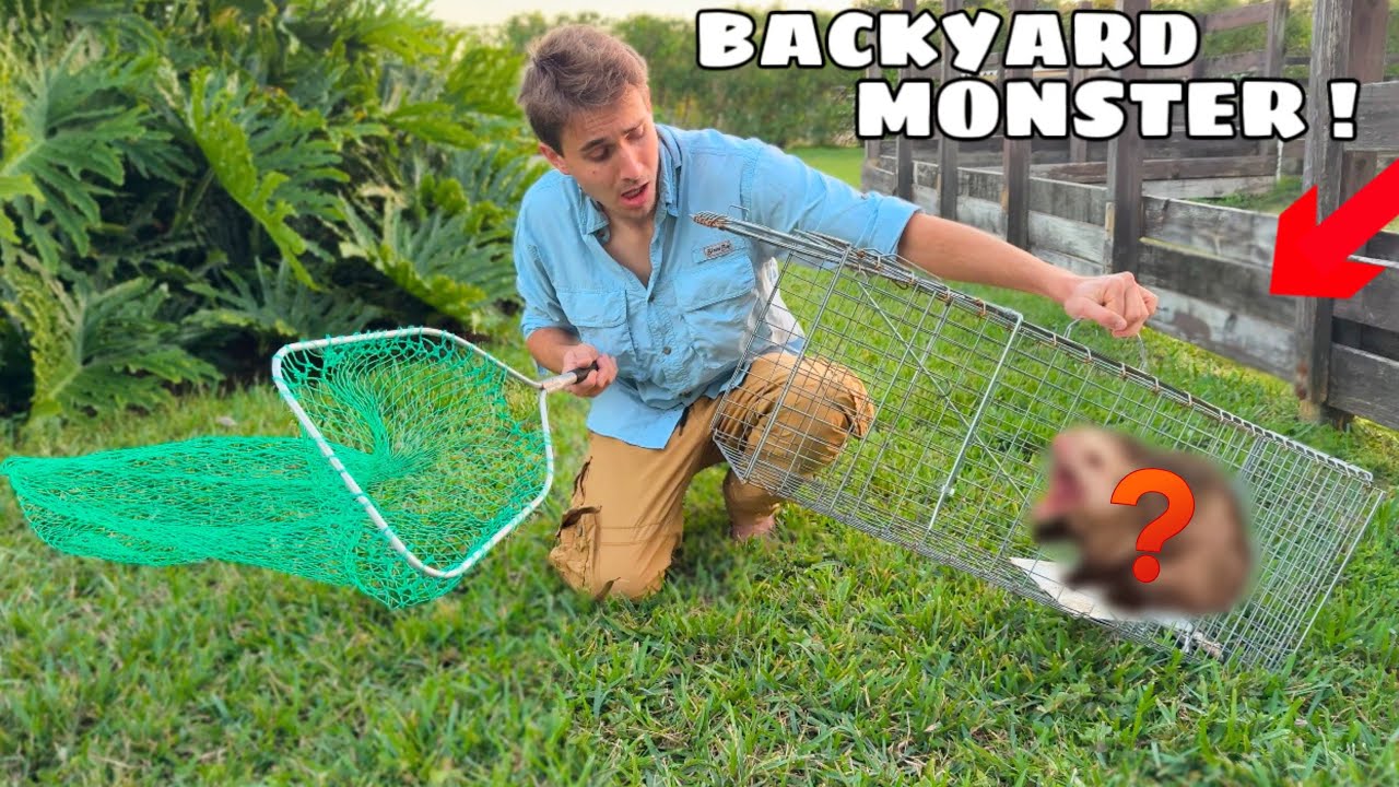 I TRAPPED THE MONSTER IN MY BACKYARD !