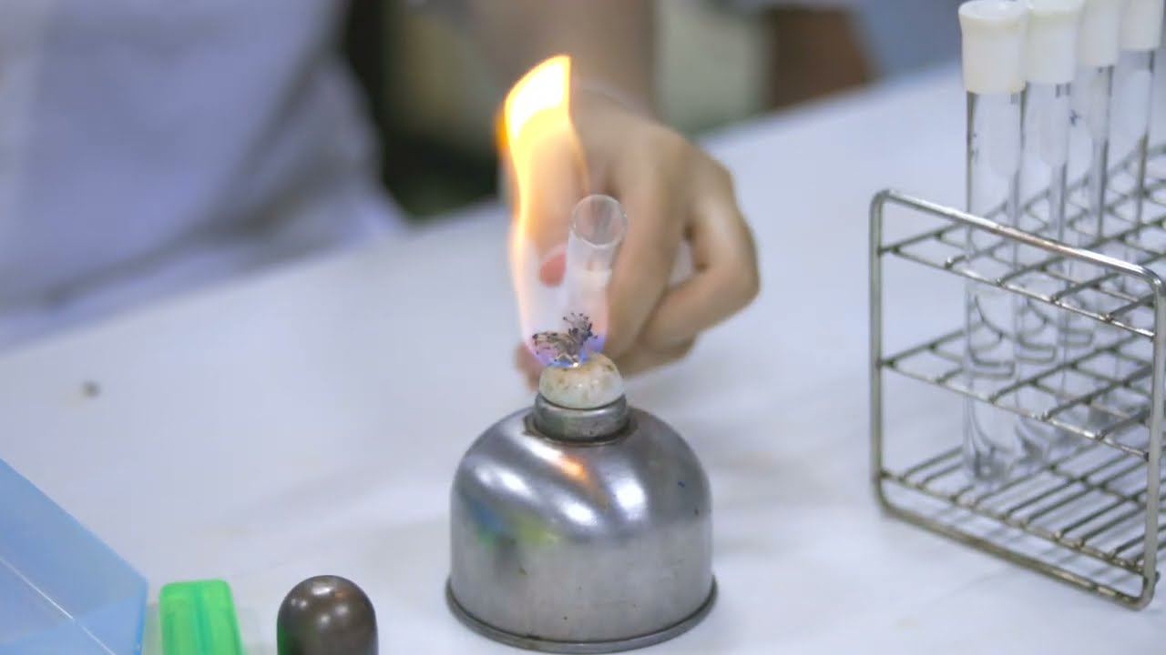 VDO แนะนำโครงการ วมว.มก. (ver. 2022) โครงการ วมว. ม.เกษตรศาสตร์ กำแพงแสน