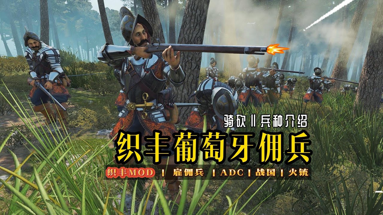 【骑砍二】日本MOD里的洋大人，到底有多强？&mdash;&mdash;葡萄牙佣兵队长