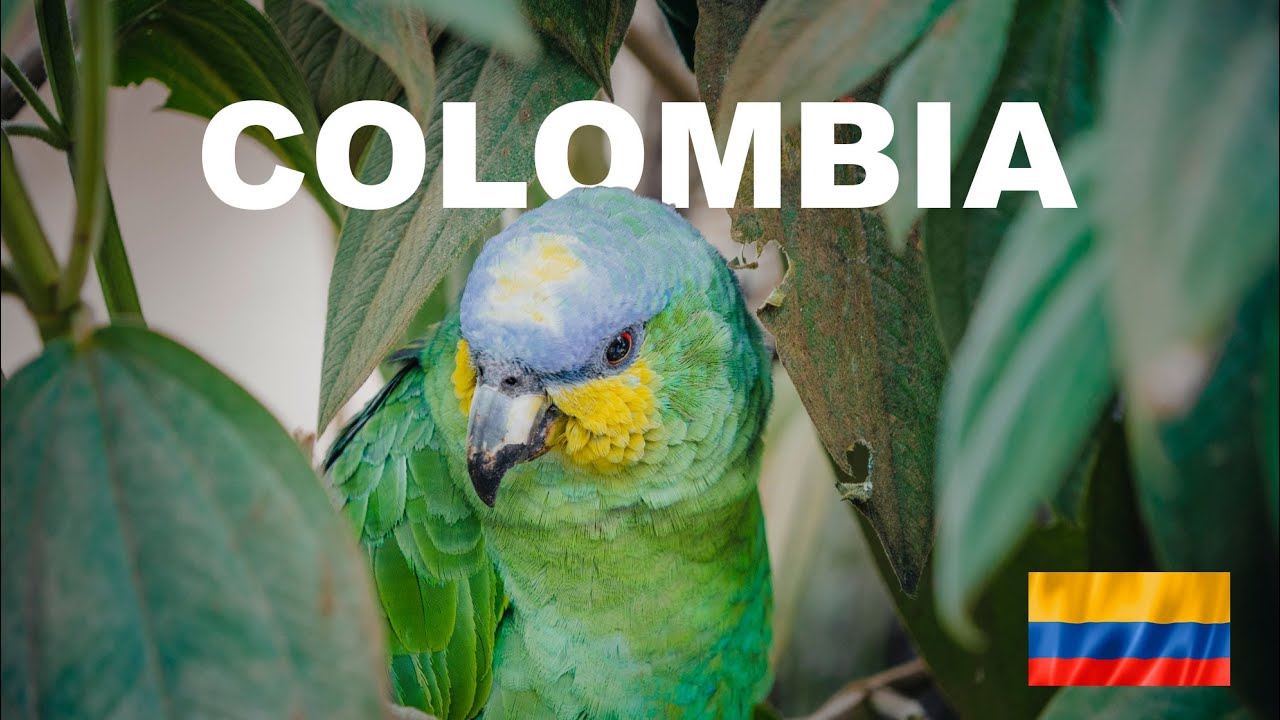 COLOMBIA ( Bogotà - Zipaquira catedral de sal ) - documentario di viaggio - Parte 1 di 3