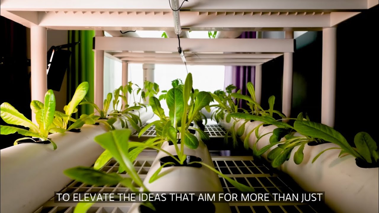 Meet the Sustainable Solutions Collaborative | Morgan Stanley