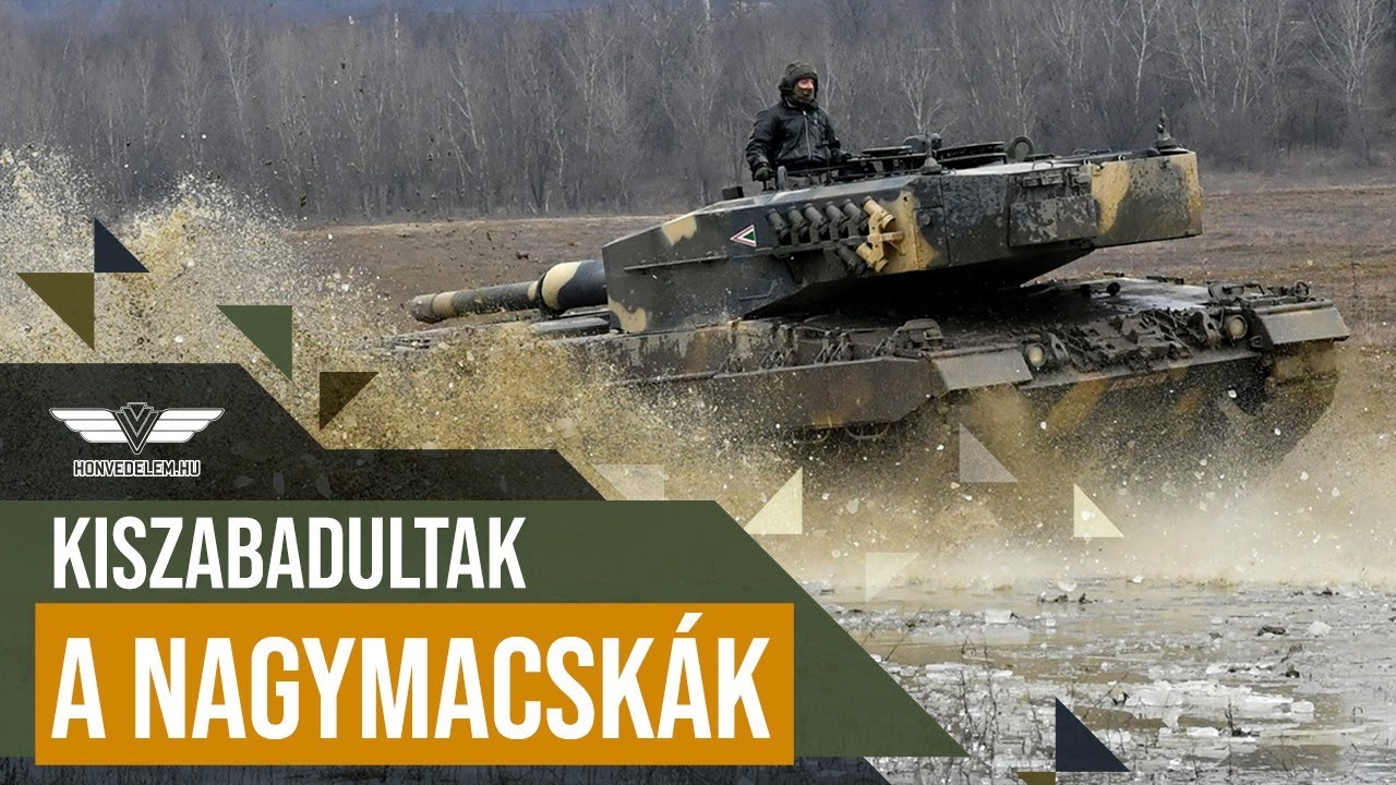 Kiszabadultak a nagymacskák