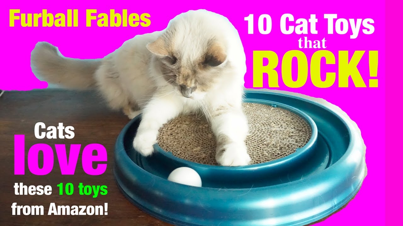 The Furball Cats LOVE these 10 Cat Toys! #bestcattoys