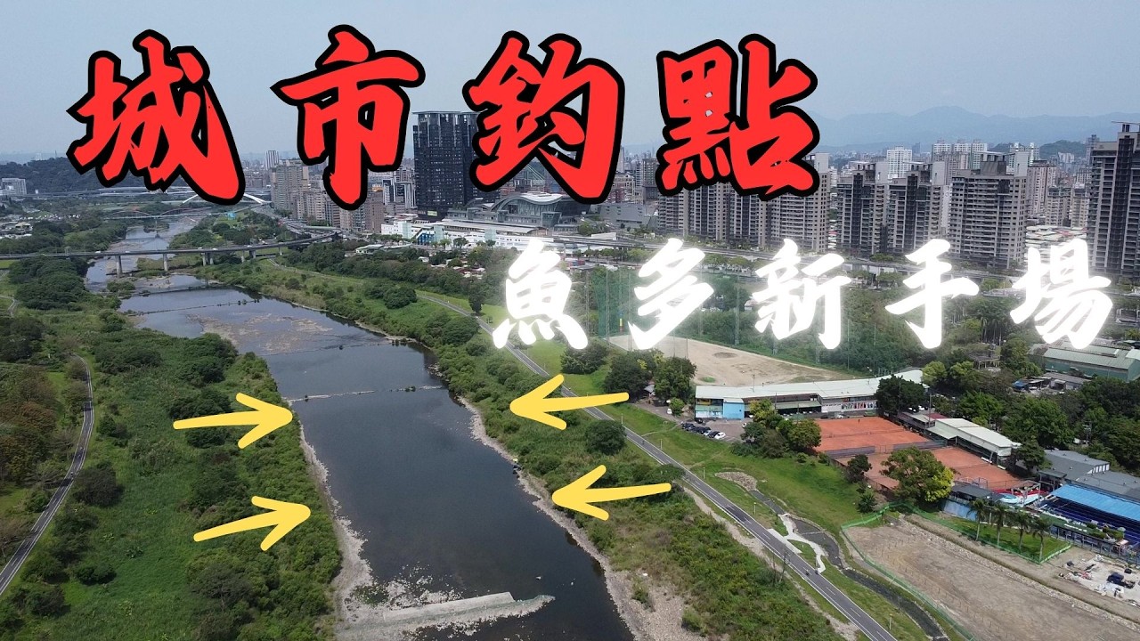 【新手必看】離城市最近！魚最多！假日輕鬆釣魚的首選清澈釣點！(含碧潭釣魚區禁令解析)｜Maxcatch｜飛釣｜飛蠅釣｜#fishing #flyfishing #推薦