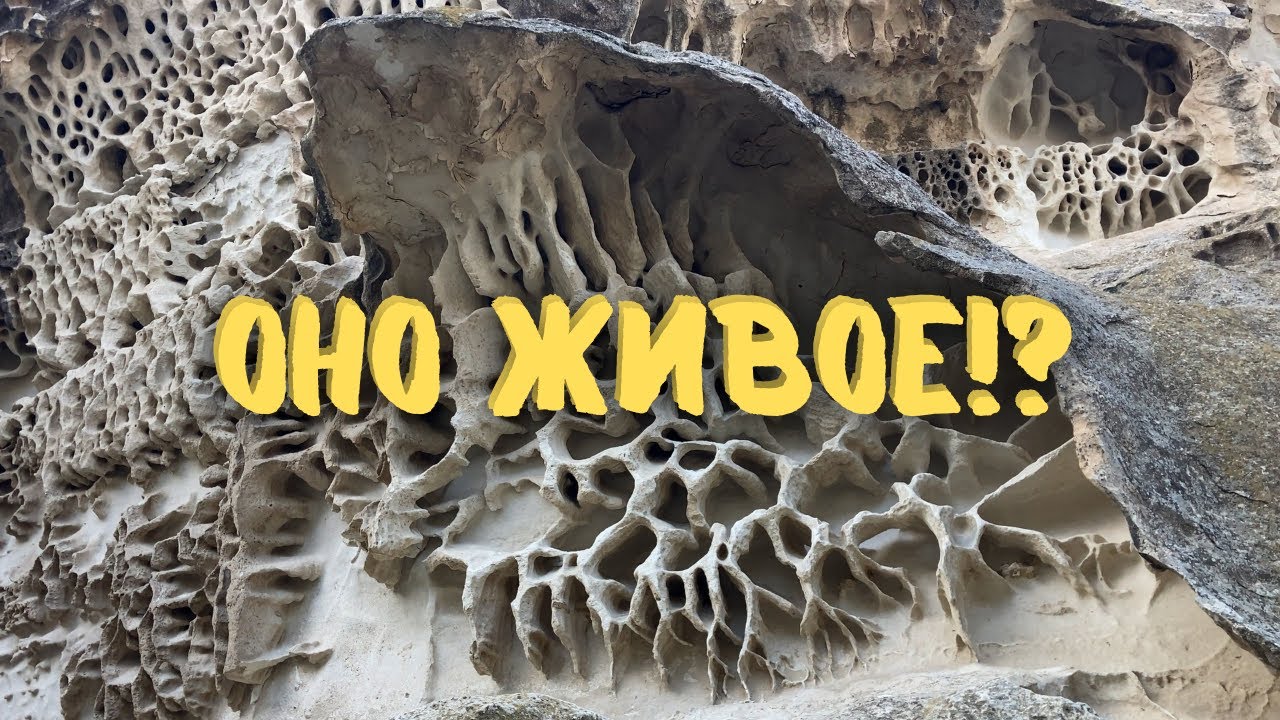 Видели такое? Живые камни Казахстана! Загадка Ыбыкты Сай!
