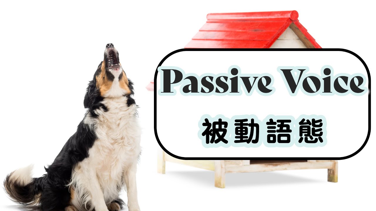 【Passive voice 被動語態 | 被動句】English Grammar 英文文法 | IELTS | DSE | 中學