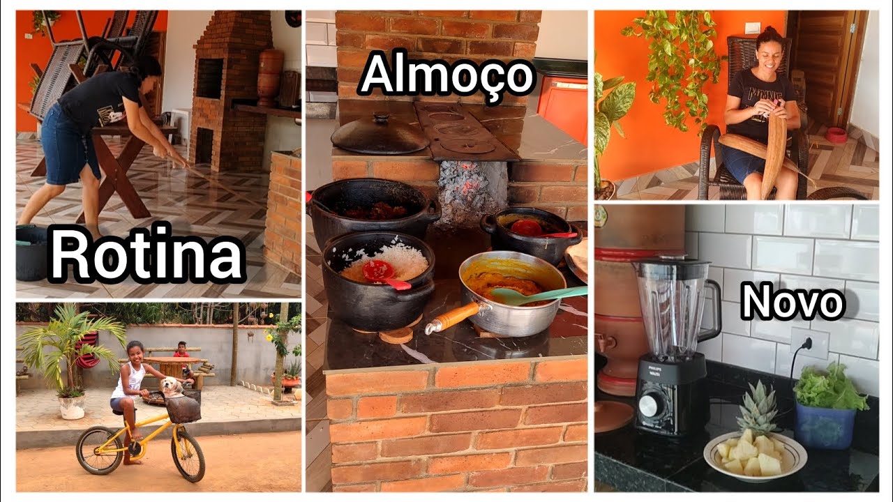 Rotina do dia na Roça //Almoço no fogão a lenha// liquidificador Novo.