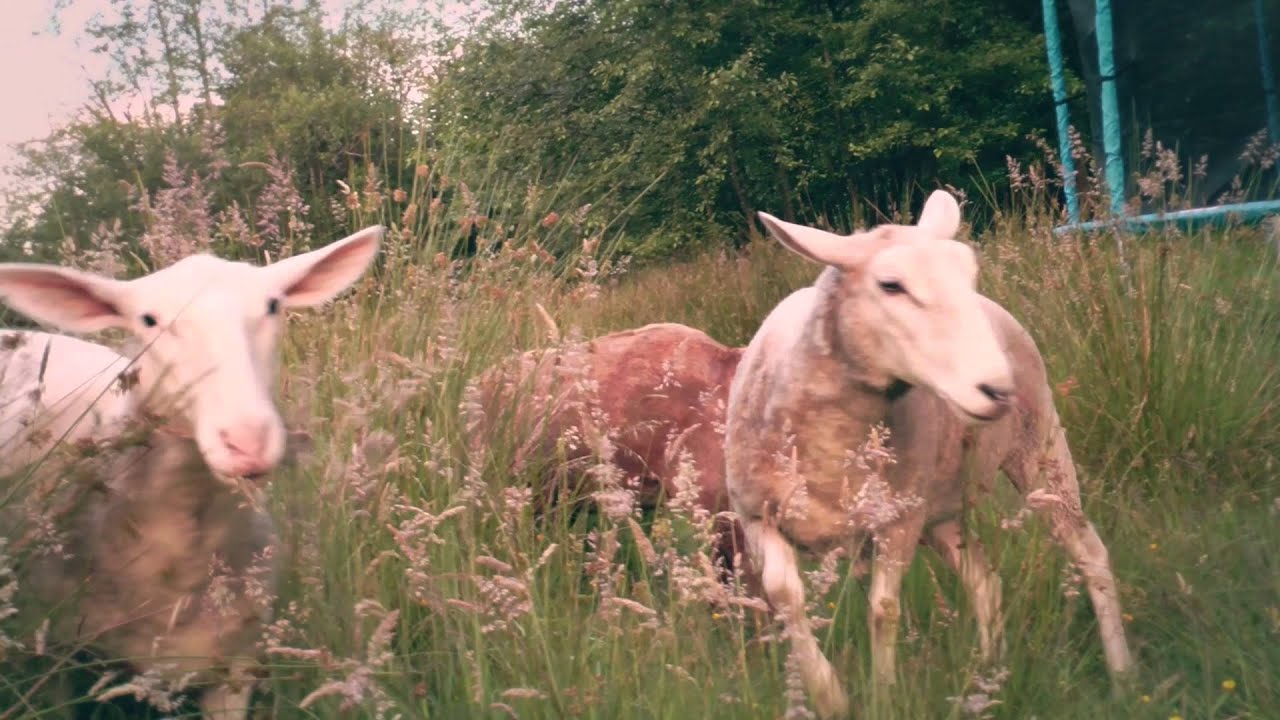 OUR Ecovillage 2016: Natural Building, Ecovillage Design, Permaculture Design, and much more!