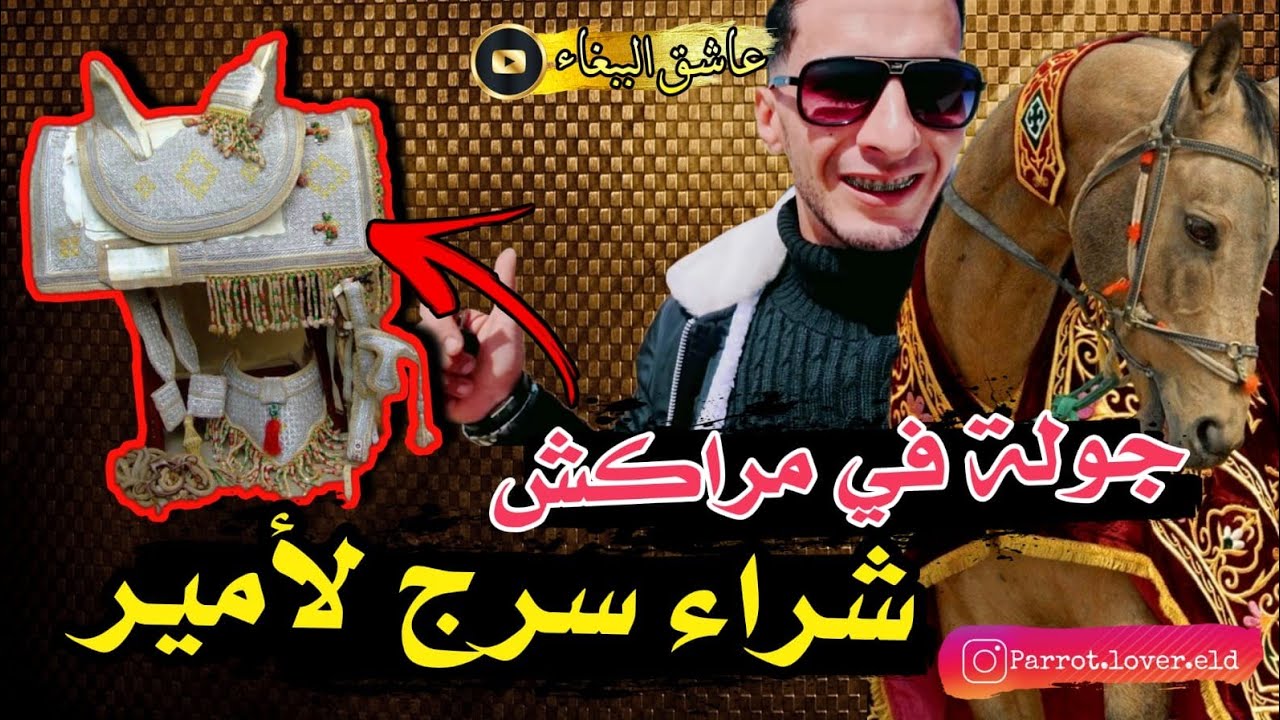 مشيت لجامع الفنا وشريت شرج رائع ديال الخيل🐎 غادي لبسو لامير😎