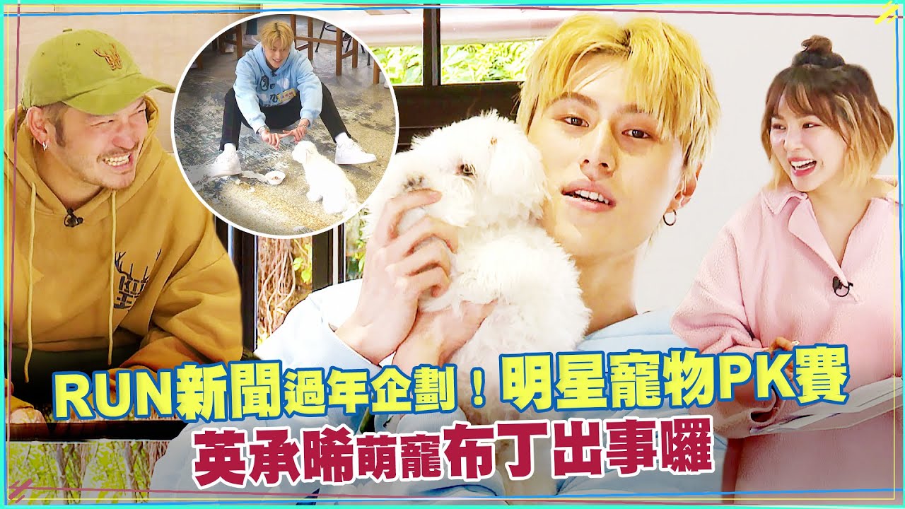 英承晞萌寵布丁出事囉｜RUN新聞過年企劃！明星寵物PK賽｜KID 熊熊｜星光雲！RUN新聞精華