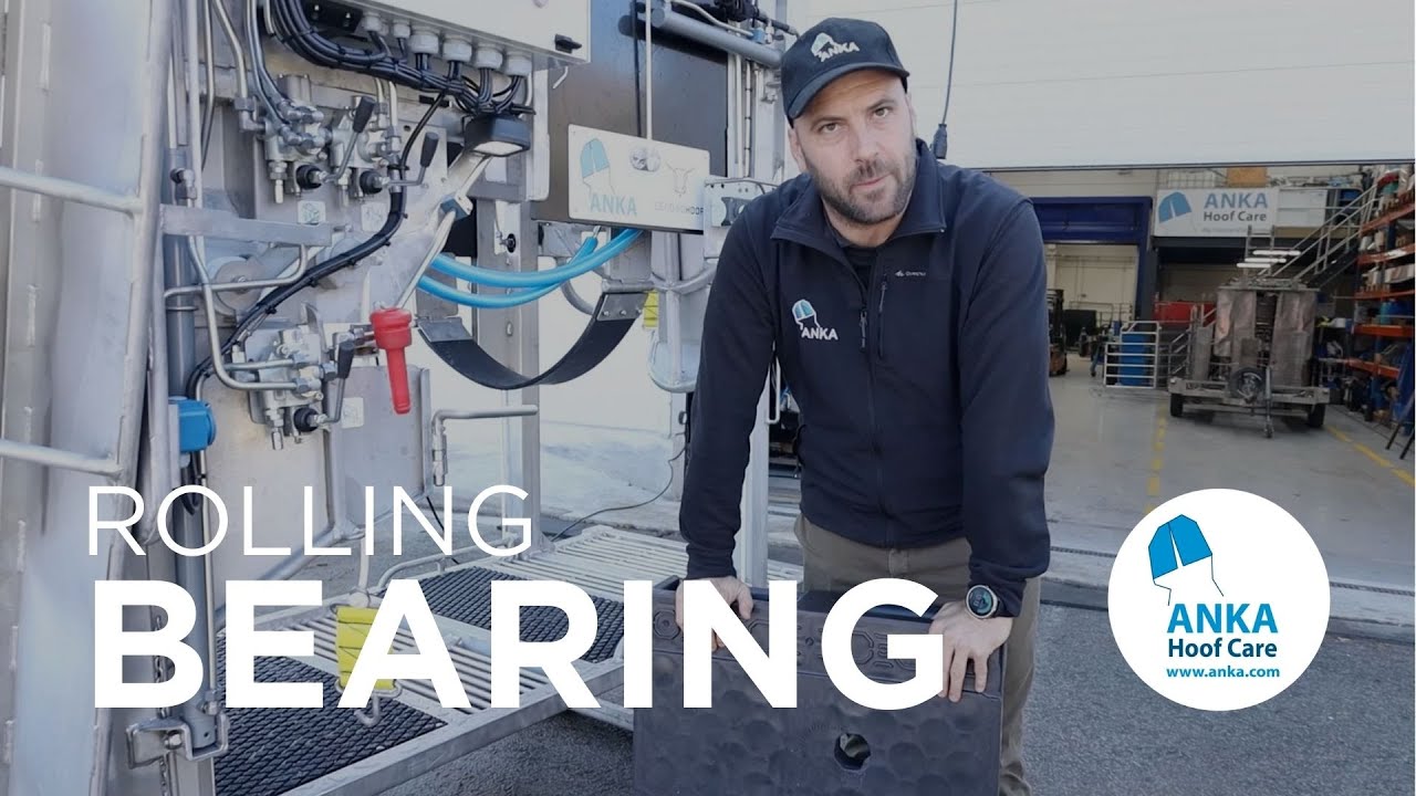 ANKA Tips | Rolling Bearing