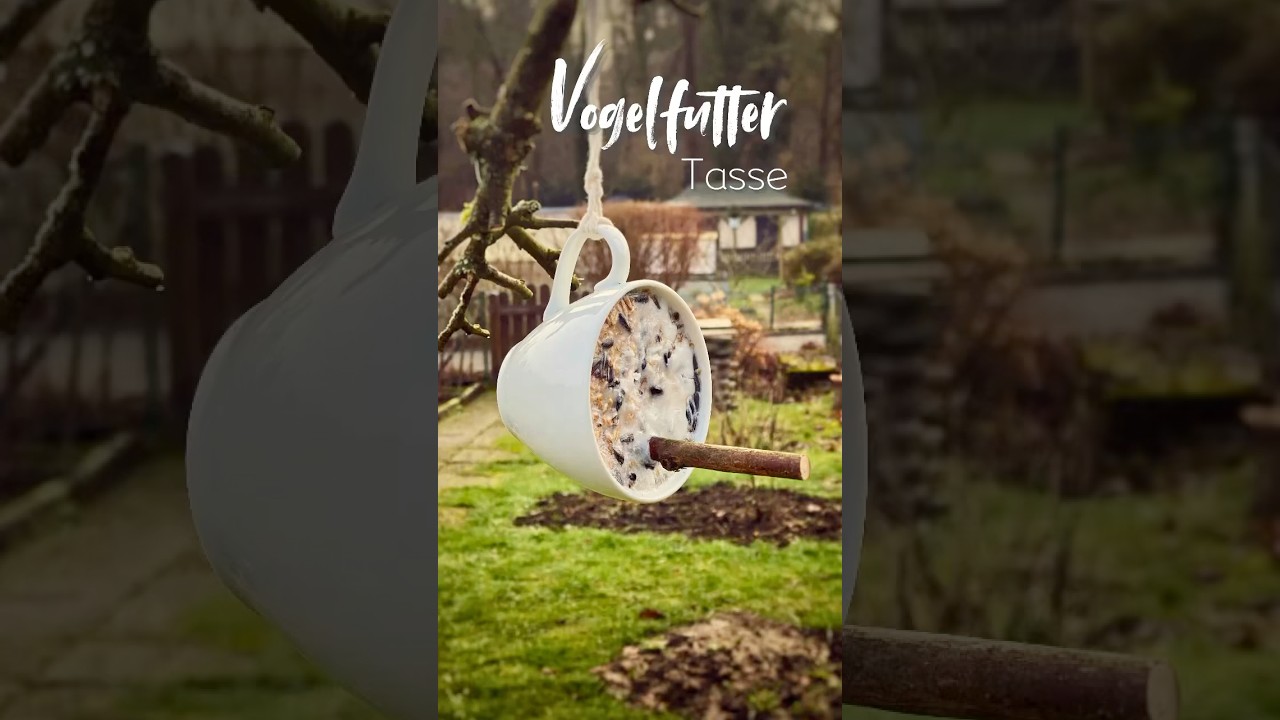 Vogelfutter Tasse für die Winterzeit ❄️🐦❄️