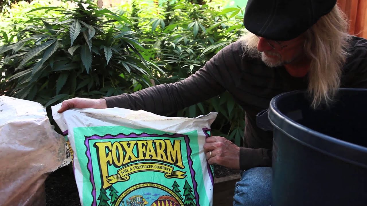 Grow Cannabis &ndash; Mixing Soil &ndash; by Jorge Cervantes