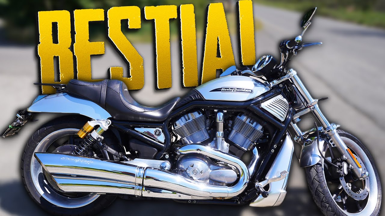 LA PIU' ODIATA...MA È UNA BESTIA! - HARLEY DAVIDSON - A CACCIA DI USATO