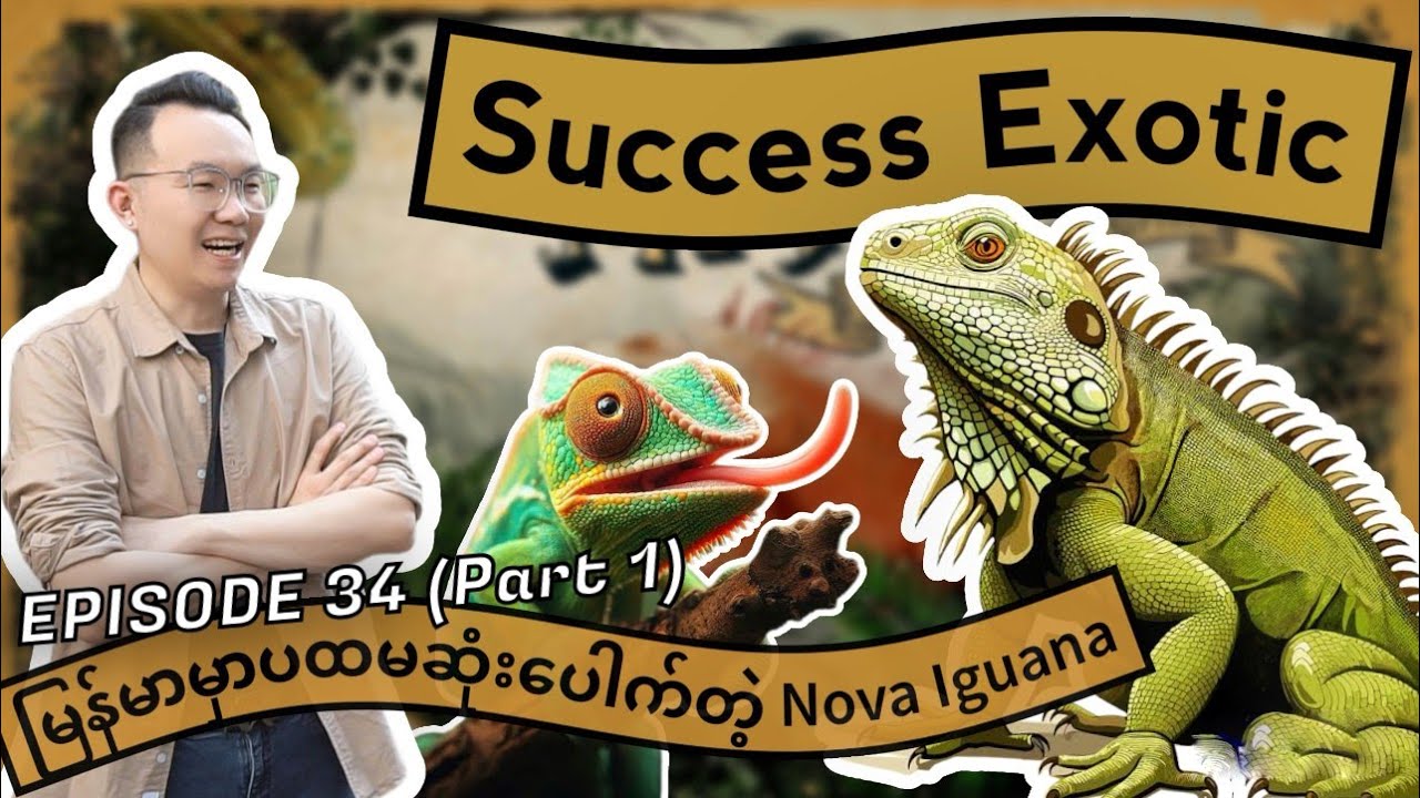 EP34: Success Exotic Pet Shop [Iguana Farm]