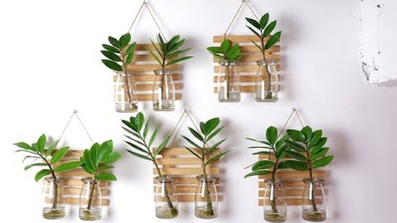 ZZ Plant Stem Cuttings Water Propagation in Glass Bottles for Wall Hanging Decor at Home
