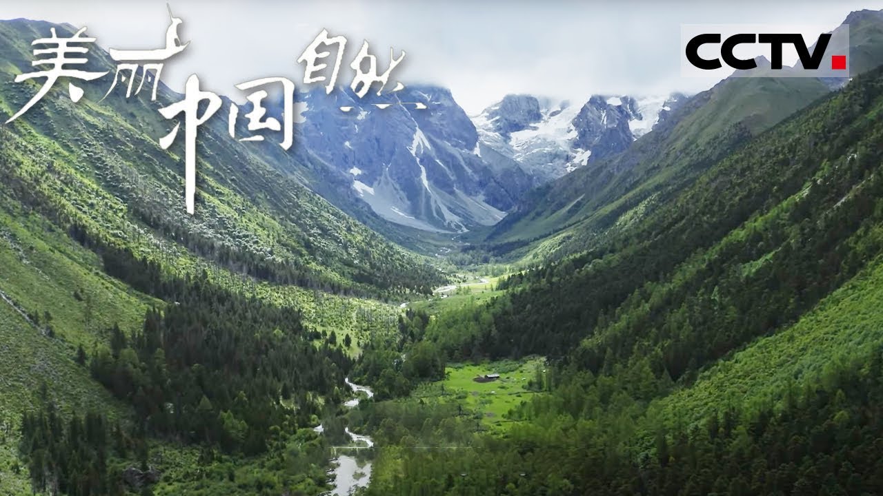 【ENG】香格里拉 这里是离天堂最近的地方 这辈子一定要去香格里拉看看《美丽中国自然》三江并流系列【CCTV纪录】