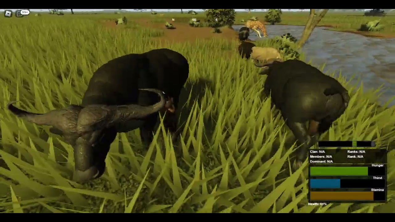 Carnivores vs Herbivoes [ wild savanna ]