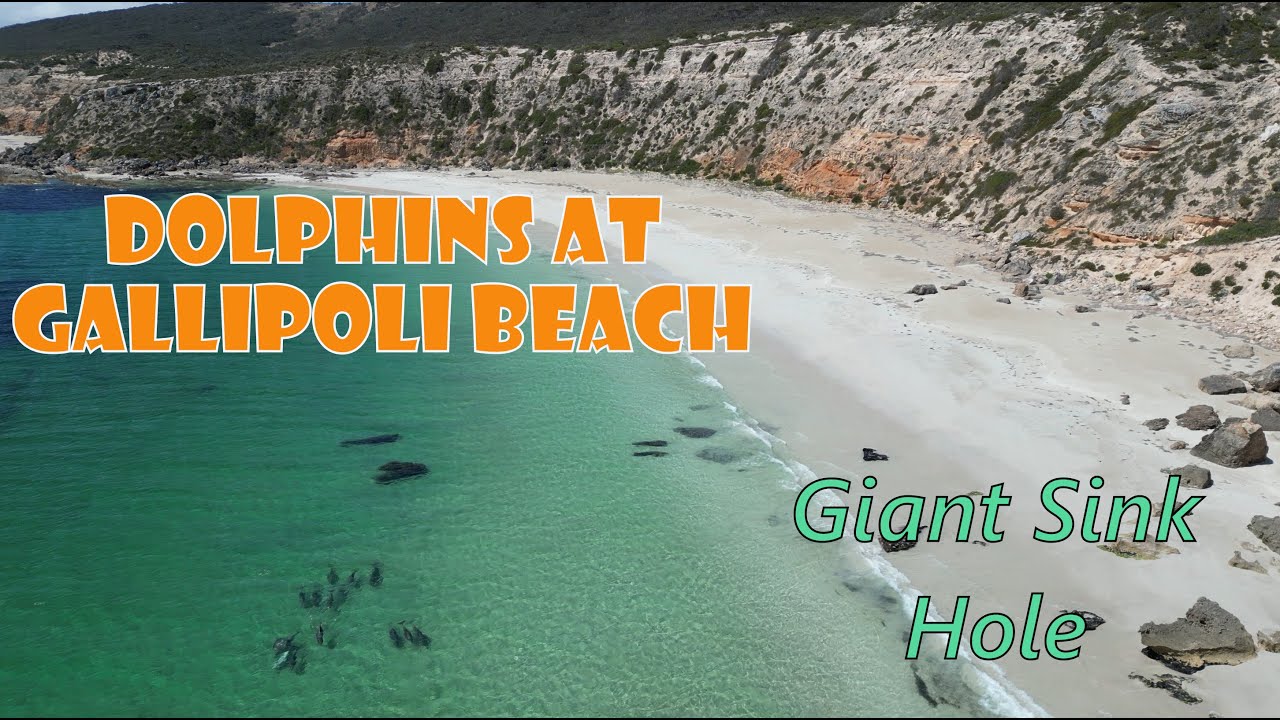 S1E46 - Woolshed Cave/Talia Cliffs, Colton Bakehouse, Elliston, Coffin Bay.