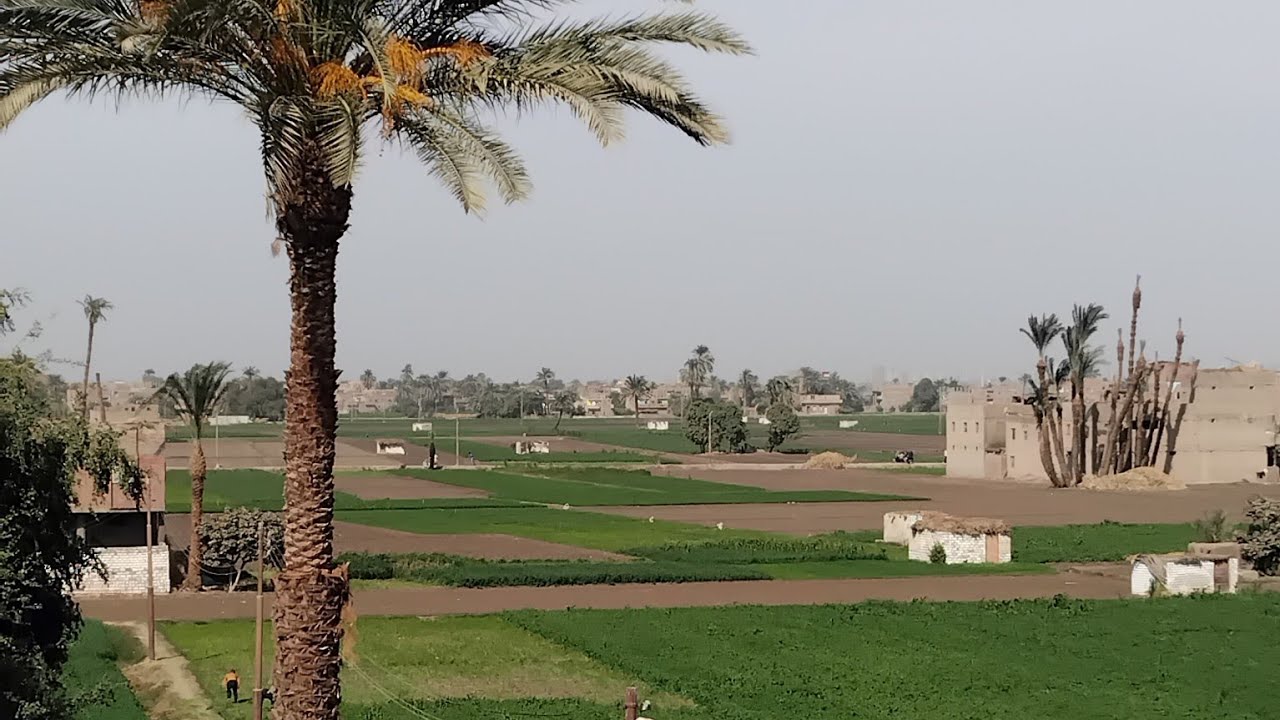 دردشة