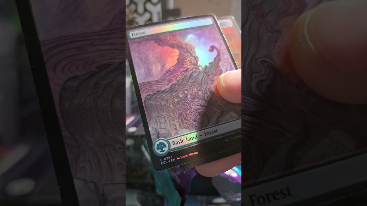 Is it Japanese or American, we show you and we crack in to a Japanese lorwyn eclipsed collector Pack
