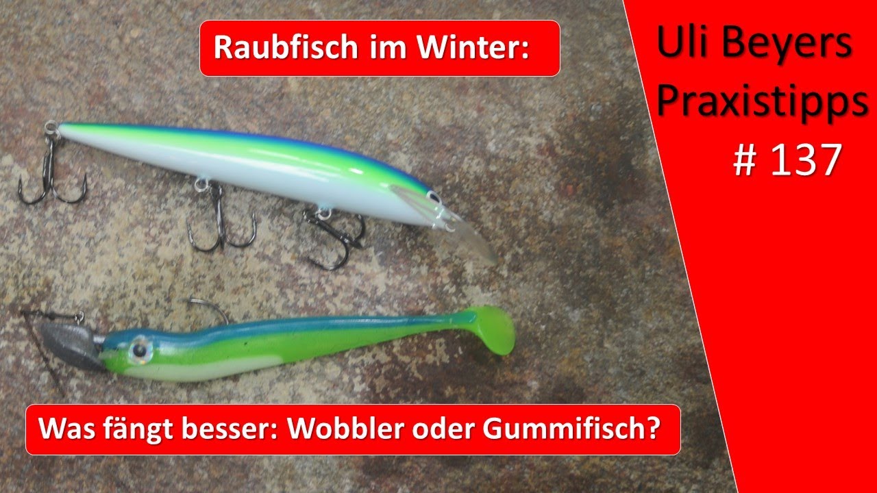 Raubfischangeln im Winter: Angeln mit Wobbler oder Gummifisch?