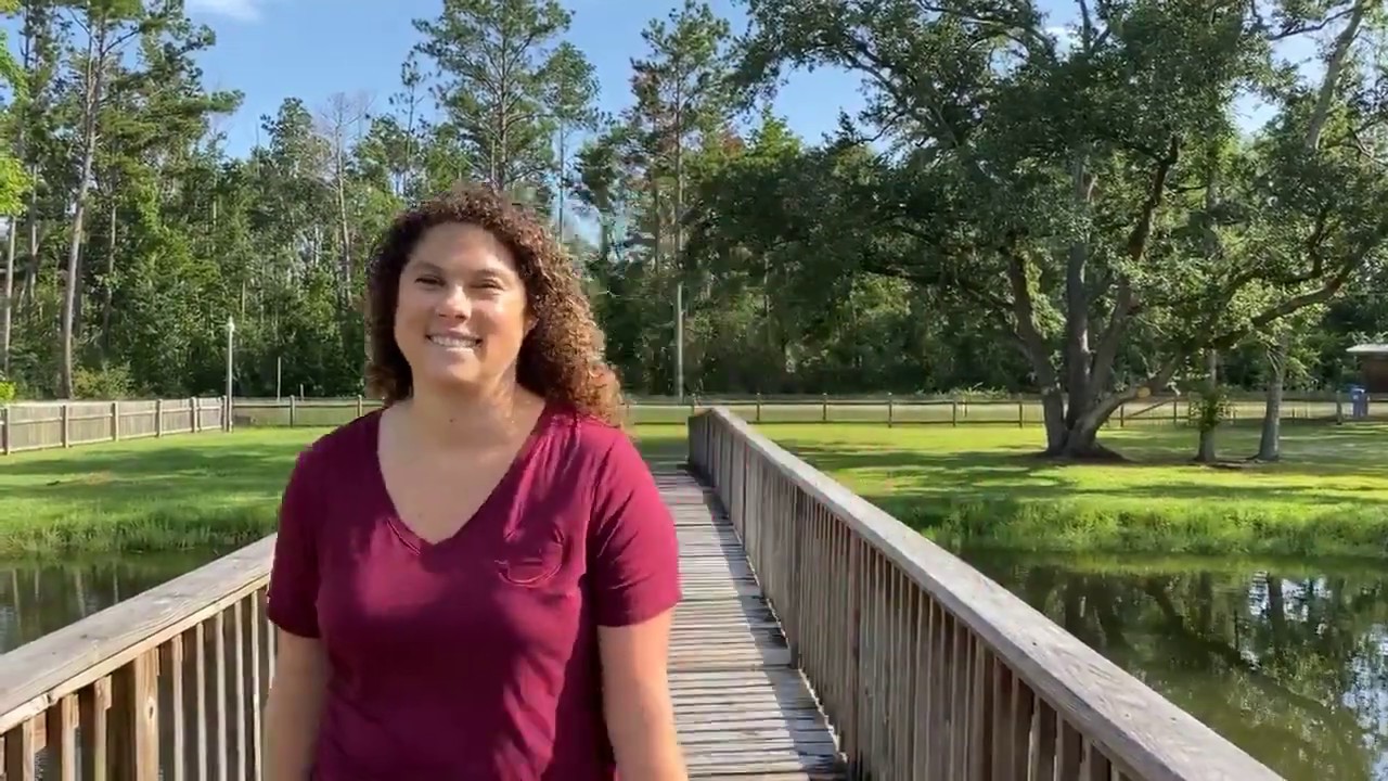 Virtually Explore Honeyville Park in Gulf County, Florida