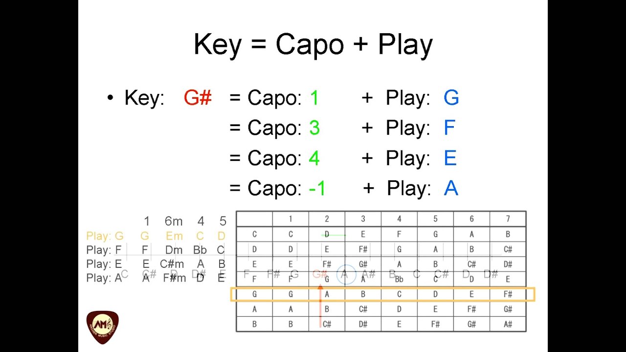 [樂理小教室] key?capo?play?的關係