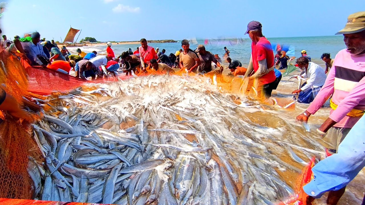 😱😮 OMG!! Unbelievable - Amazing fishing video % you're never seen that before. Lot of fishing video.
